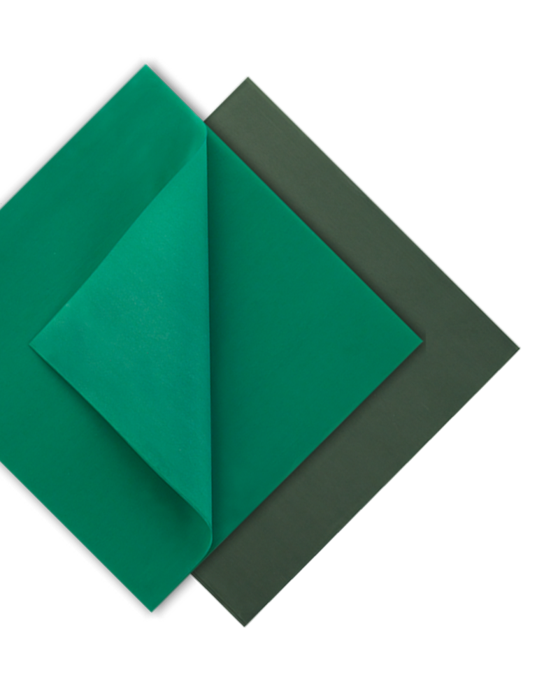 Euronda Monoart Rubberdam Lastigi