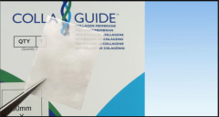 Curasan Colla Guide Collagen Membran - 30*40 mm