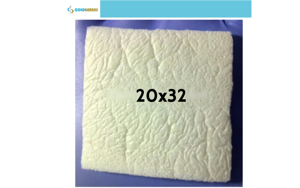 Cologenesis ColoGide Membran - 20x32 mm