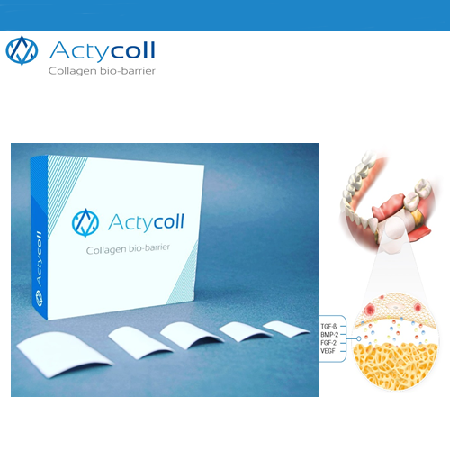 Actycoll Collagene Membrane - 25*25 mm - 6 Adet