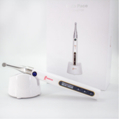 Woodpecker EndoPace Endomotor