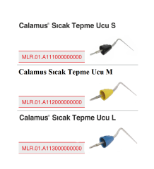 Dentsply-Sirona Calamus Dual Uçları