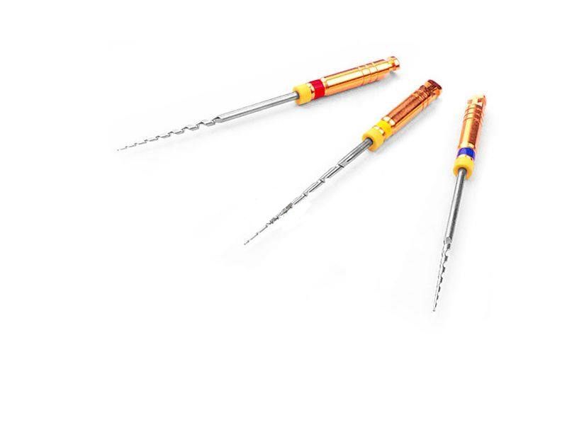 Schütz Dental Mani Silk File Niti Rotary Kanal Egesi