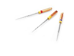 Schütz Dental Mani Silk File Niti Rotary Kanal Egesi