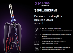 FKG XP-endo Rise Shaper
